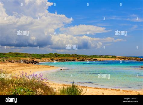 Puglia Beach Flowers Hi Res Stock Photography And Images Alamy