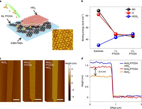 Deposition of ultrathin high κ oxide on 2D materials a Schematic