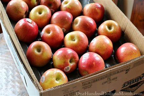 10 Fun Facts About Apples One Hundred Dollars A Month