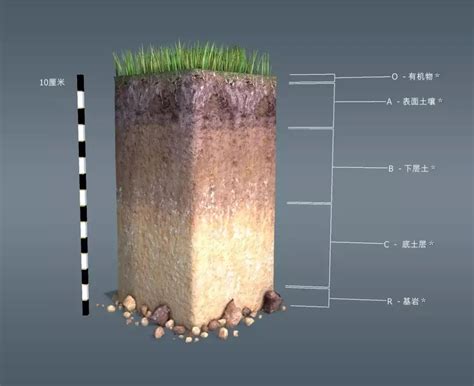 【地理拓展】农业土壤与农业地理财经头条