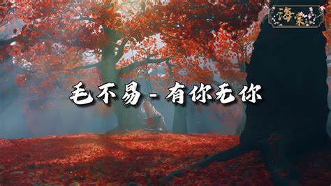 毛不易 有你无你 《长相思》电视剧玱玹主题曲『风雪来 有你 鲜花开 无你，炊烟缭绕 有你 星光璀璨 无你。』【动态歌词mv