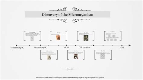 Timeline Of Microbiology By Hannah Mattson