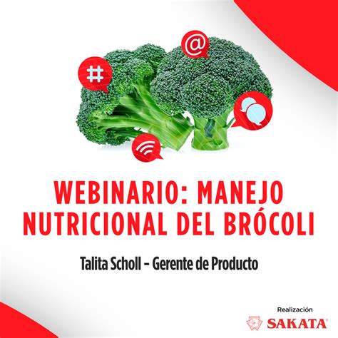 Seminario Web Trata El Tema Del Manejo Nutricional Del Br Coli Sakata