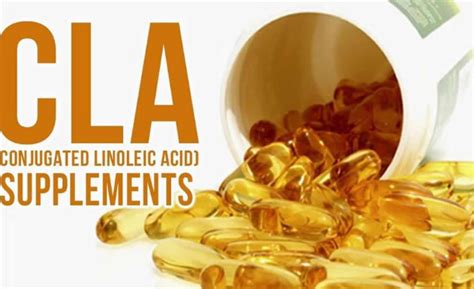 What are the benefits of conjugated linoleic acid (CLA)? | Minamin