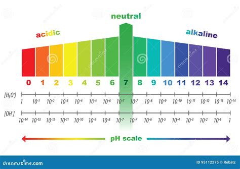 Scale Of Ph Value For Acid And Alkaline Solutions Infographic Acid