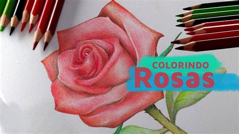 Desenhos Simples De Rosas A Lápis Para Crianças