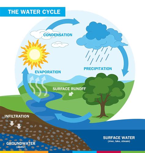 Chart Of The Water Cycle