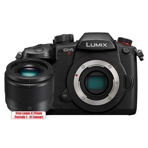 Panasonic Lumix Dc Gh Ii Body Mirrorless Camera Camera Co Id