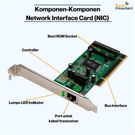 mengenal network interface card nic fungsi jenis  pentingnya