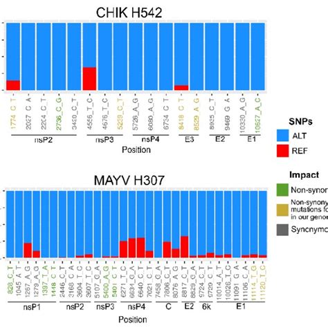 Single nucleotide polymorphism (SNP) analysis. Proportion of sequencing ... 