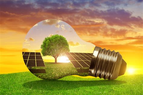 20 Fascinating Facts About Solar Energy You Should Know