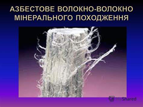 Презентация на тему: "ЛЛЯНІ ВОЛОКНА. Льон довгунець - основна прядивна ...