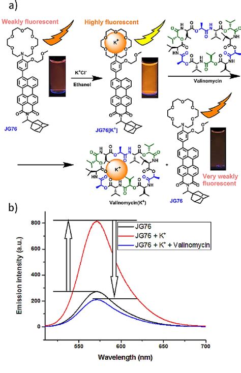 Figure 2 From Potassium‐ion‐selective Fluorescent Sensors To Detect