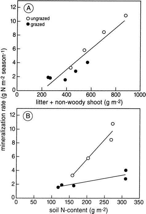 A Relationship Between Litter Biomass Potential Litter Biomass Download Scientific Diagram