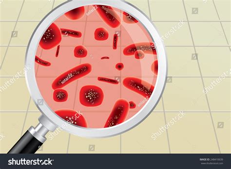 Finding Red Germs Bacteria On Bathroom เวกเตอร์สต็อก ปลอดค่าลิขสิทธิ์