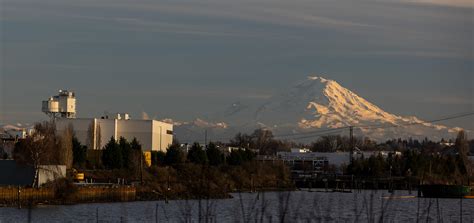 Almost Live from the muddy banks of the Duwamish : r/SeattleWA