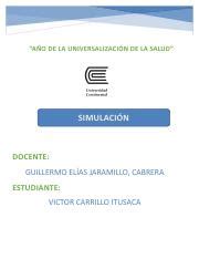 Simulaci N Victor Docx A O De La Universalizaci N De La Salud