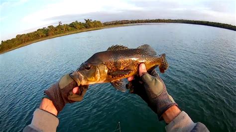 Pescaria De Tucunare Rio Tiete Youtube