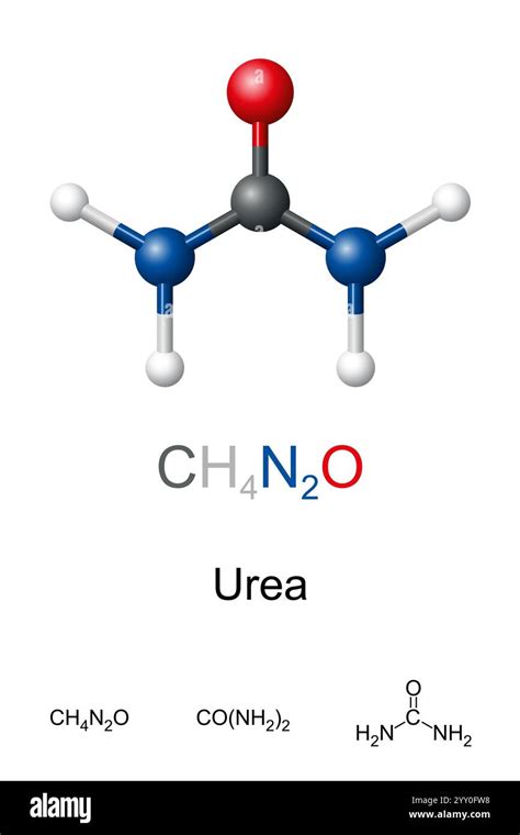 urea molecule urea molecule isolated  white stock photo
