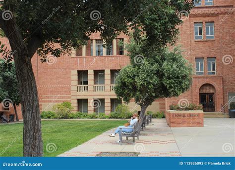 University Of California Los Angeles Ucla Powell Library Rear View