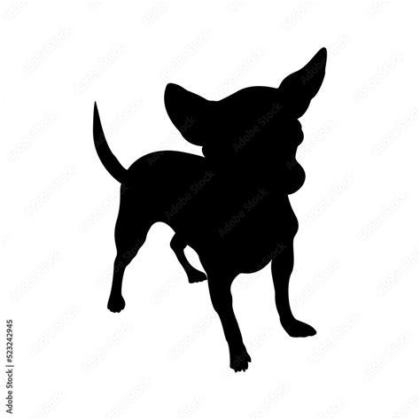 Dog silhouette. Vector illustration of chihuahua isolated on white background. Stock Vector ...