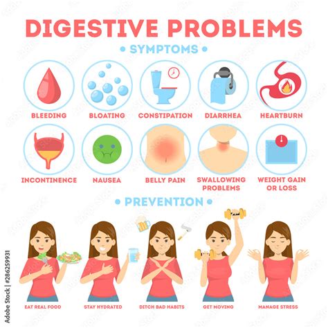 Infographic with intestine problems. Woman with digestive Stock Vector | Adobe Stock