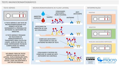 Imunocromatografia Positivo O Que Significa Librain