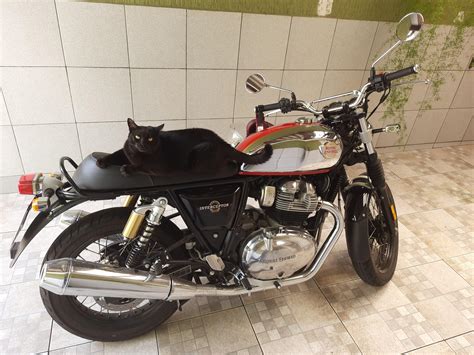 Come on human! I will take you to places you never dreamed of! : r