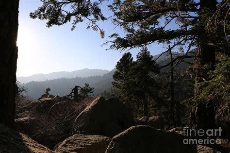 San Bernardino Nat Forest Photograph By Jeffrey Wills Fine Art America