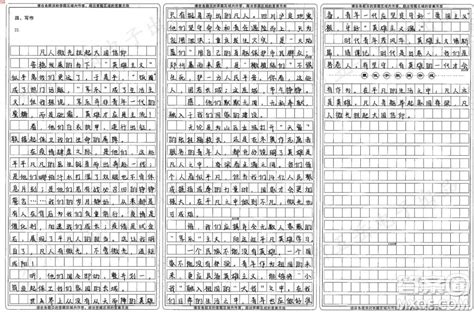 中国脊梁主题作文800字 关于中国脊梁的主题作文800字 答案圈