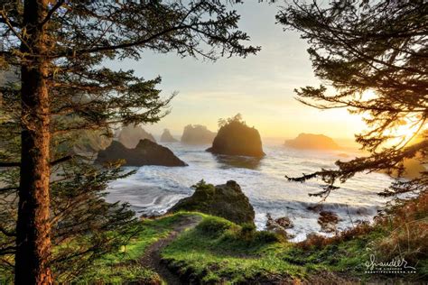 Secret Beach Oregon Coast Oregon Photography