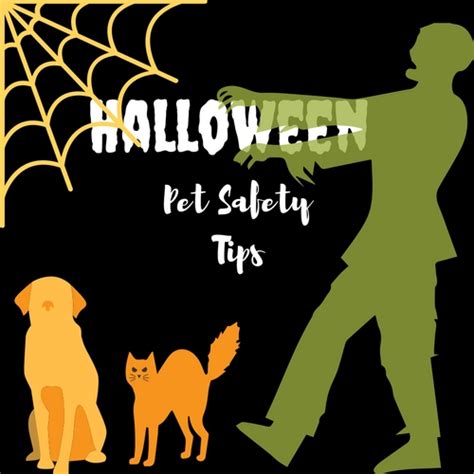 Halloween Pet Safety Tips - Caring for a Senior Dog