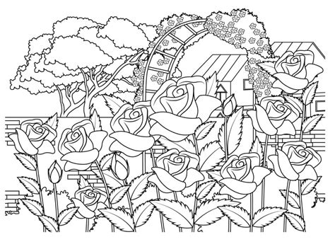 Desenhos De Jardim De Flores Para Colorir Pintar E Imprimir