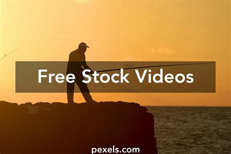 Shutterstock Videos, Download The BEST Free 4k Stock Video Footage ...