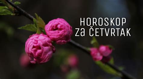 Horoskop Za Etvrtak Jul Godine Usamljene Vage Eka Ljubav