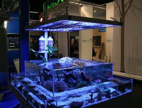 Unique Fish Tanks Ferttoo