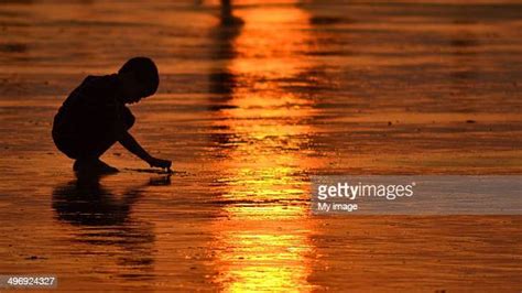 143 Digha Sea Beach Stock Photos, High-Res Pictures, and Images - Getty ...