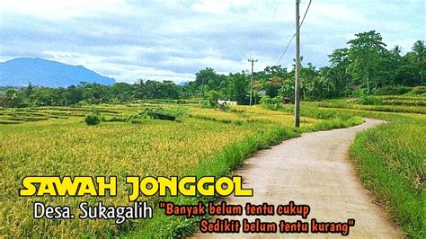 Sawah Terasering Di Bogor Terlihat Sangat Indah Yang Berada Di Desa