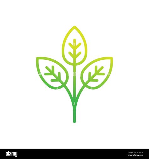 Leaf Icon Design Vector Illustration Abstract Leaf Icon Vector Concept