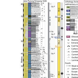 Sedimentary Logs Facies Associations And Sequence Stratigraphic