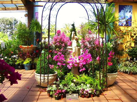 Beautiful Display To A Garden Nursery Essendon Photo By Dana Bonn