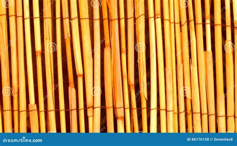 Fundo De Madeira De Bambu Amarelo Da Textura Foto De Stock Imagem De