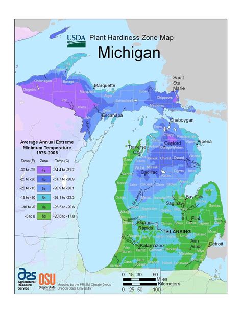 Gardening Us Plant Hardiness Zone Map Beautiful Insanity