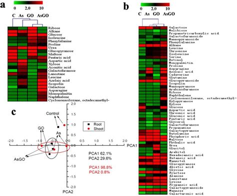 Metabolic Analysis Of Plant Cells Exposed To Go And Asv The Download Scientific Diagram