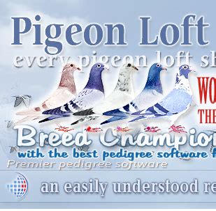 Pigeon Pedigree Software Easily Create Pedigree