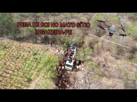 Drone Pega De Boi No Mato S Tio Jorge Da Ingazeira Pe Youtube