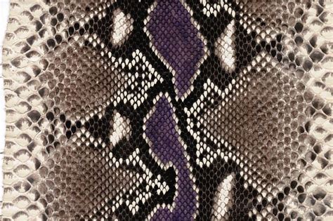 REAL PYTHON SKIN TEXTURE PATTERN In 2023 Textures Patterns Skin