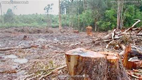 Stronger punishment for harming environment - Hiru News - Srilanka's ...