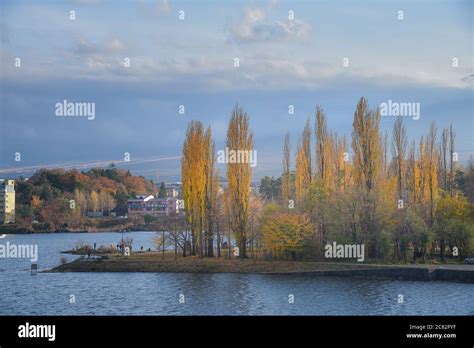 Autumn plants in the park near Kawaguchi lake Stock Photo - Alamy