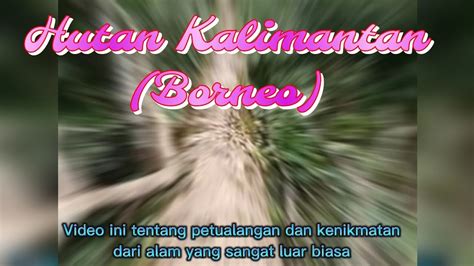 Petualangan Di Hutan Kalimantan Desa Lusan Julis Youtube